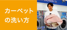 カーペットの洗い方