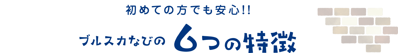 ブルスカなびの6つの特徴