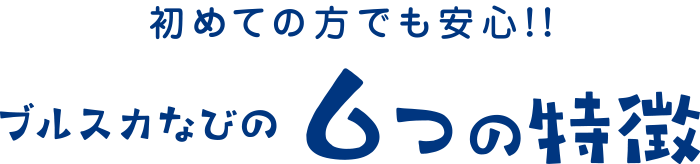 ブルスカなびの6つの特徴