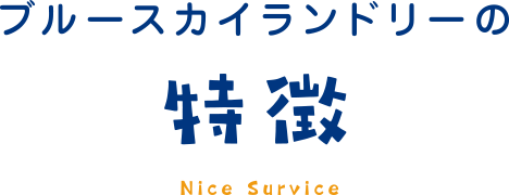 ブルースカイランドリーの特徴